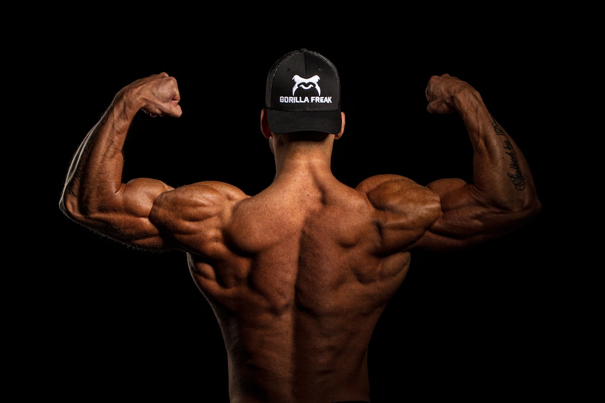 Full Body Strength Routine