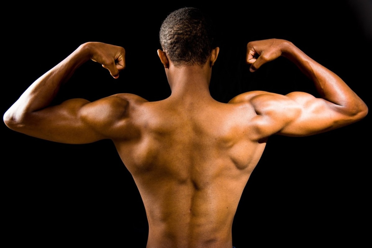 Push Pull Legs Split Program